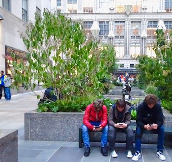 things to do this weekend nyc weekend events manhattan queens brooklyn bronx staten island nyc weekend events
