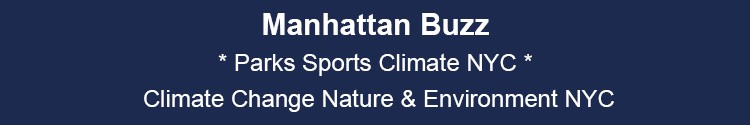 manhattan parks sports climate change news & events mhtn nyc 